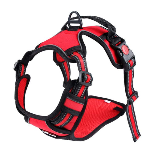 Harness and Leash set