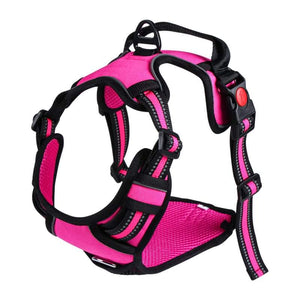 Harness and Leash set